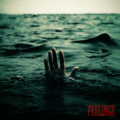 Feelings