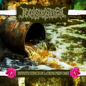 Infinite Stench Of Latrine Perfumes
