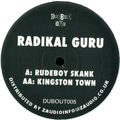 Rudeboy Skank by Radikal Guru