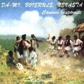 Cantece Lautaresti