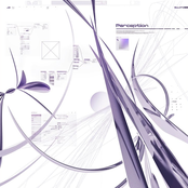 perception