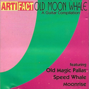 Old Moon Whale - A Guitar Compilation