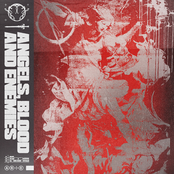 Angels, Blood and Enemies