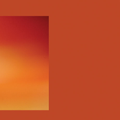 Fields Have Ears (6)