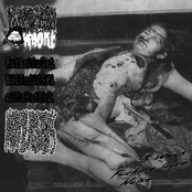 3-Way Fucking Gore Noise
