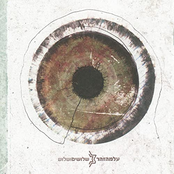 שלושים ושלוש