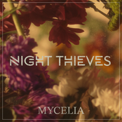 Mycelia
