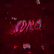 K.D.N.A