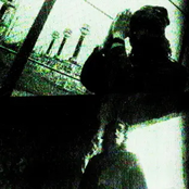 CEREZA / SAYIT2MYFACE