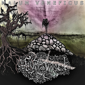 Thy Wr'lock Sp'llbook