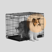 Days Run Away CIV: Secret Rooms