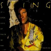 January Stars by Sting