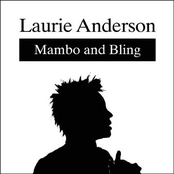 Mambo And Bling by Laurie Anderson