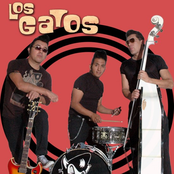 Los Gatos Rockabilly