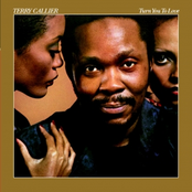 Turn You To Love by Terry Callier