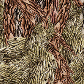 Together We Have Grown, Together We Shalll Bloom (EP)