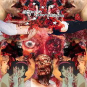 SPLIT WITH KAWAIRASHII ANAPHYLAXIS