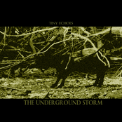 The Underground Storm