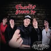 Cheia De Vida by Charlie Brown Jr.