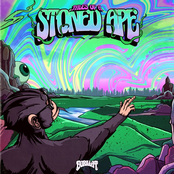 GorillaT: Tales Of A Stoned Ape