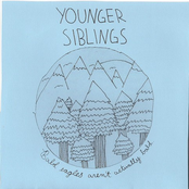 Bald Eagles Aren't Really Bald