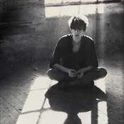 ian mcculloch