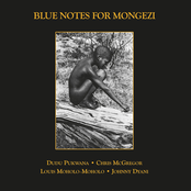 Blue Notes: Blue Notes for Mongezi