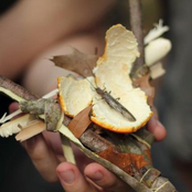 September 2011 Mix CD