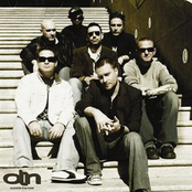 Follow the White Rabbit