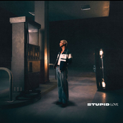 stupid love