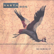 Flame by Santa Dog