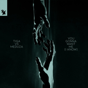 You Gonna Want Me (I Know) - Single