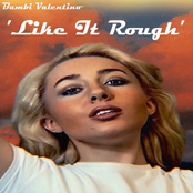 Like It Rough - Single