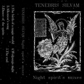Night spirit's mixes
