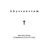 Mein Herz Brennt (A Rammstein Cover For Vain)