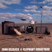 Elephant Graveyard