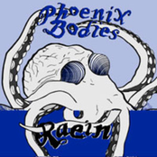 Phoenix Bodies/Raein 7" Split