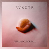 Shrimpcocktail