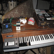 Gem Jam / Box Turtle Telepathy