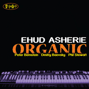 Ehud Asherie: Organic