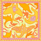 Manta Rays - Single