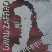 The Song by David Zaffiro
