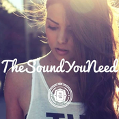 the sound you need