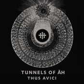 Thus Avici