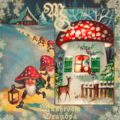 Mushroom Grandpa - Life Under Snow