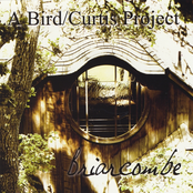 Briarcombe (A Bird / Curtis Project)
