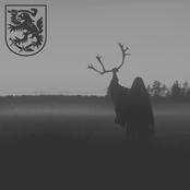 Boreaaliset syvät vedet