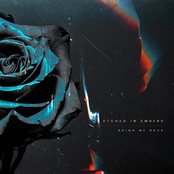 Etched in Embers: Bring Me Back