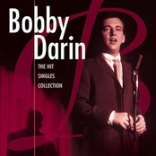 If I Were A Carpenter by Bobby Darin