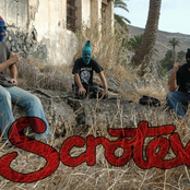 scrotex